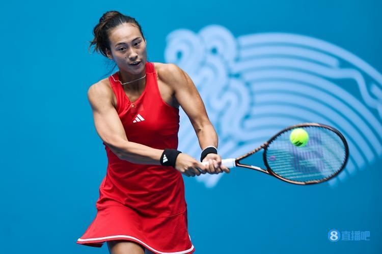 更精细的篮 更精细的篮